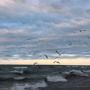 Meet your Posher, Estefania